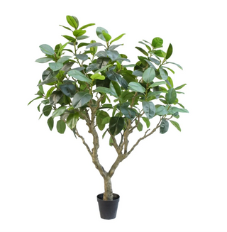 Faux Ficus Elastica Botanic Tree 240cm