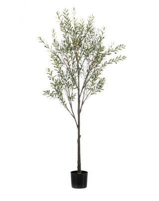 Faux Outdoor Olive Tree 175cm